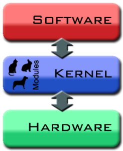 What is the Function of the Kernel of an Operating System?